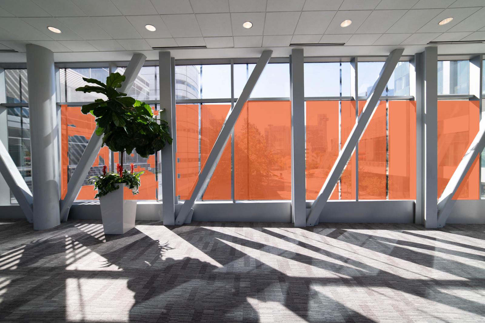 Marriott Sky Bridge, Bottom Windows
